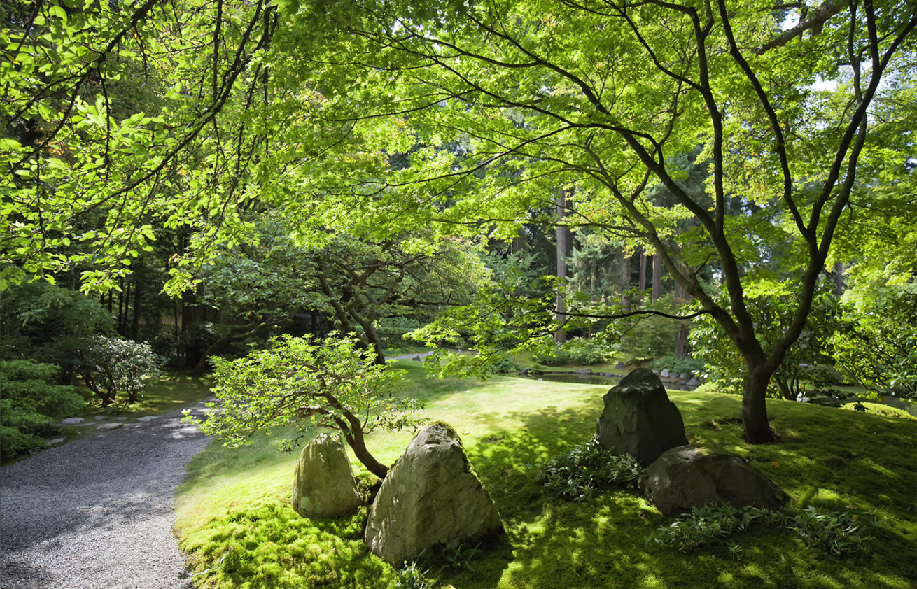 aménagement jardin feng shui