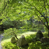aménagement jardin feng shui