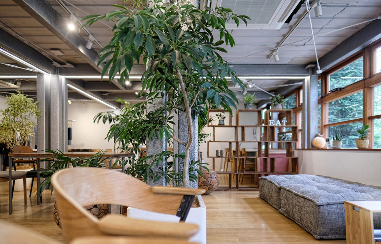 open space feng shui